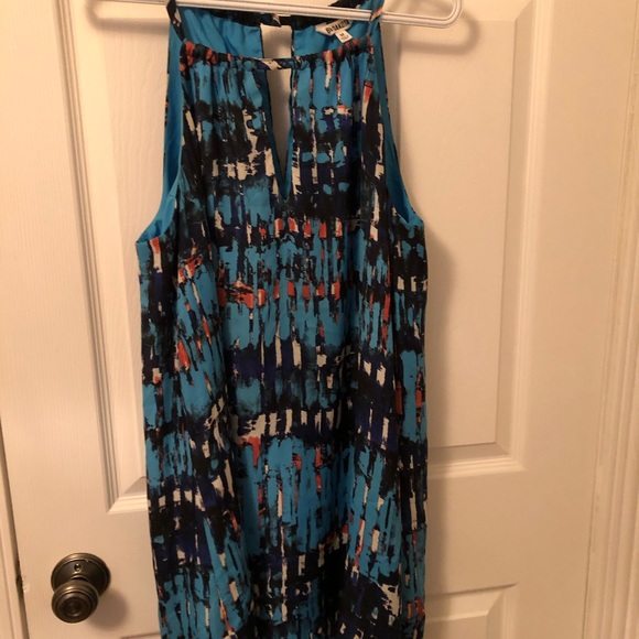 BB Dakota dress - Picture 6 of 8